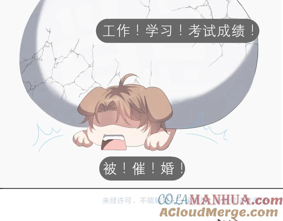 虐渣男从现在开始 - 第25话 肖总你好 - 第97张图