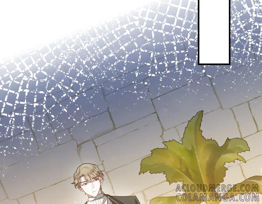 《转身成为恶女女王》第33话 食人鱼规则的试探 第193页