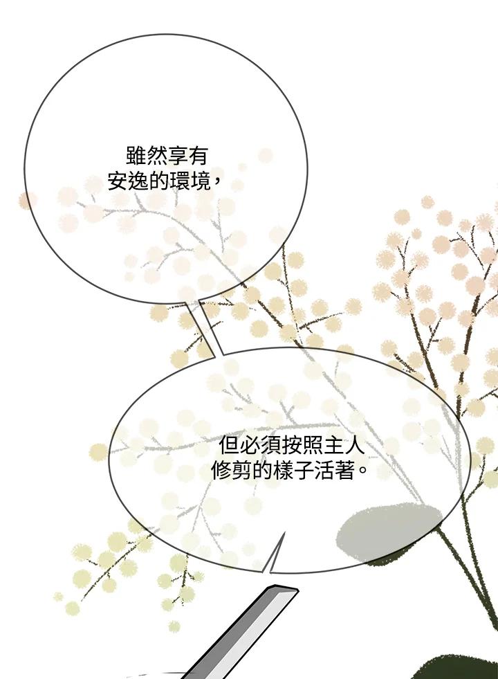 《假面情侣》第63话 第71页