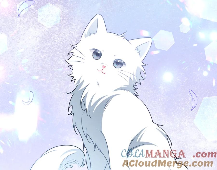 《破茧皇后》番外 第1话 梦里的白猫 第85页
