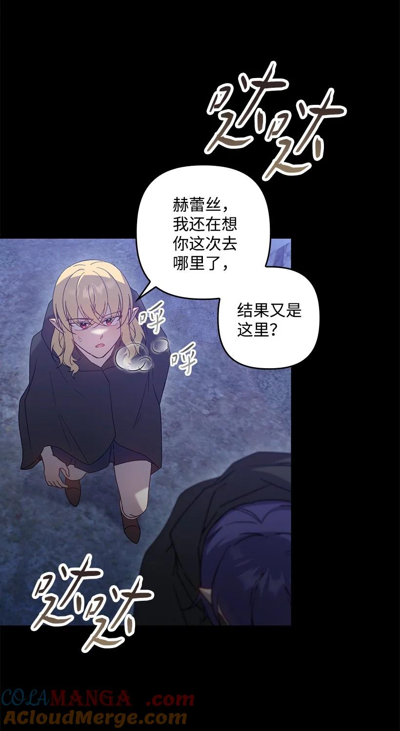 《王的贡女》番外47 加冕仪式 第61页