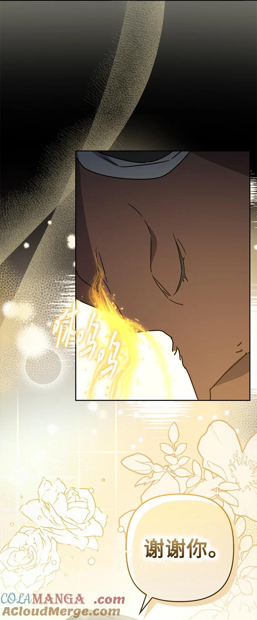 《王的贡女》番外47 加冕仪式 第70页