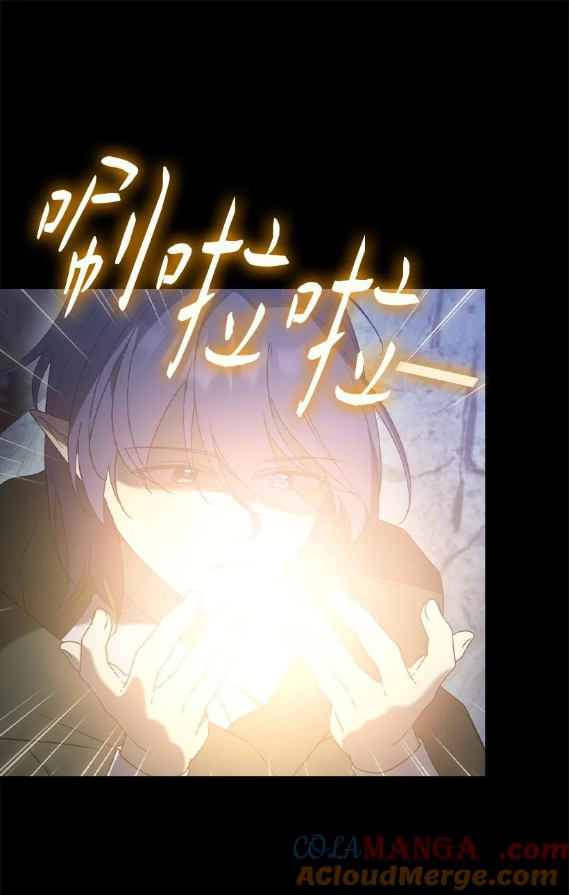 《王的贡女》番外47 加冕仪式 第64页
