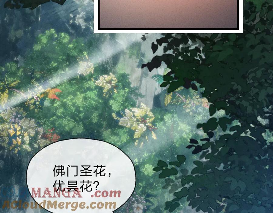 《大爱魔尊，女徒弟都想杀我》第46话 我要和师兄拜天地！ 第65页