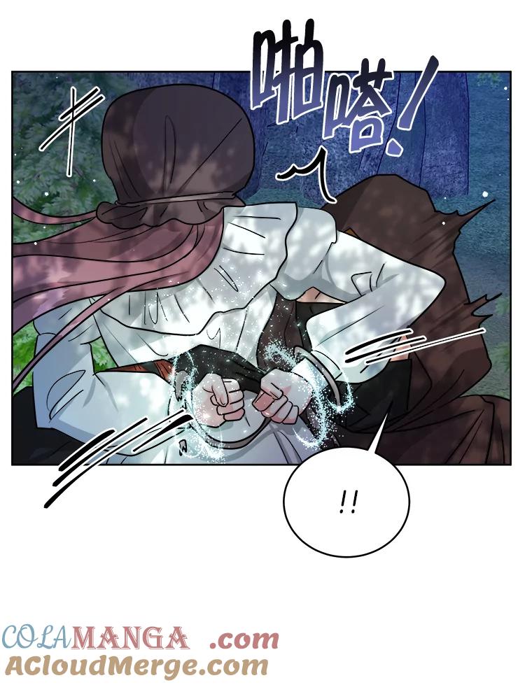 《怕冷的北部大公》17.被绑架 第77页