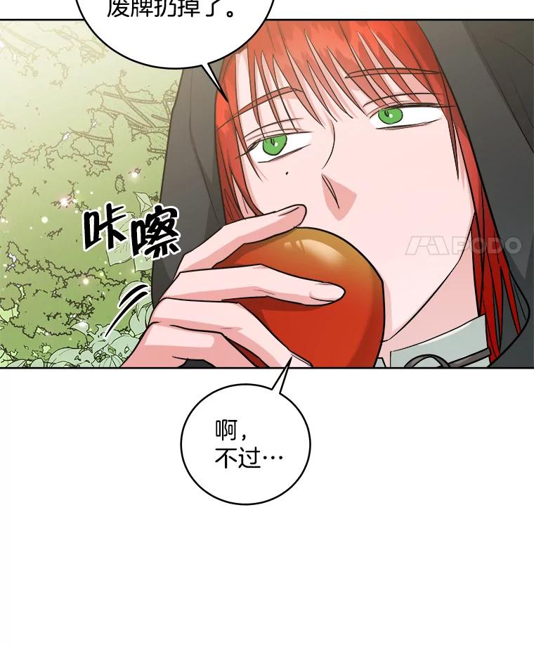 《怕冷的北部大公》20.离开皇宫 第88页