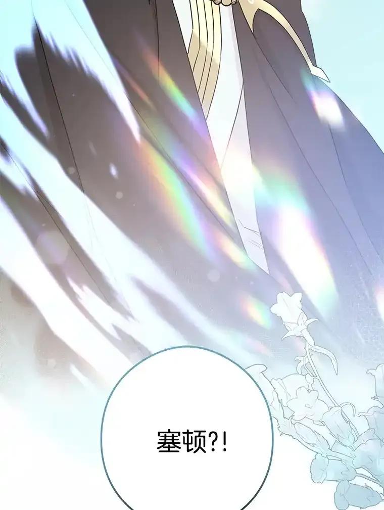《女仆是悲惨结局收藏家》32.新的帮手 第71页