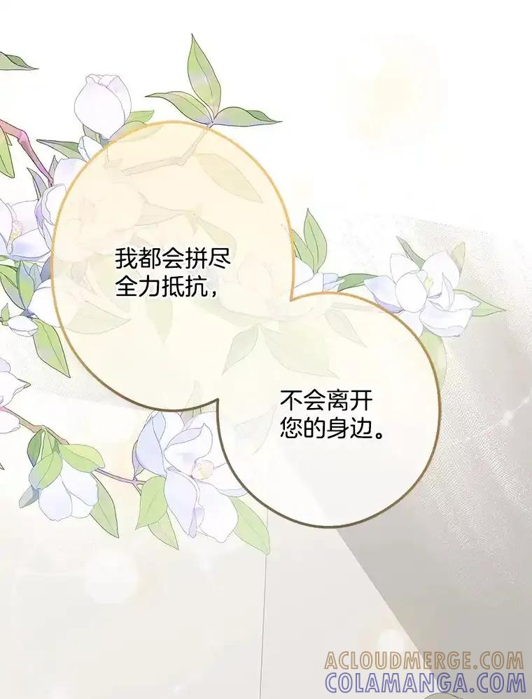 《女仆是悲惨结局收藏家》34.可爱眼神 第117页