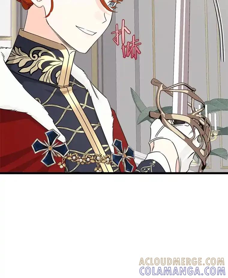 《女仆是悲惨结局收藏家》35.阳光万丈 第85页