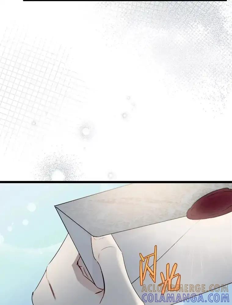 《女仆是悲惨结局收藏家》37.闪光密信 第5页