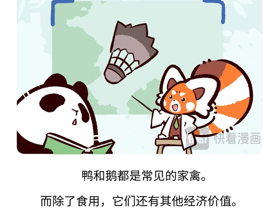 《胖达x胖达》第261话 第28页