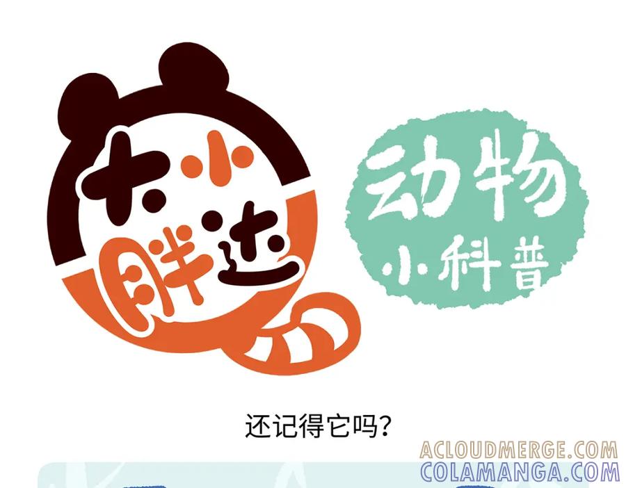 《胖达x胖达》第261话 第27页