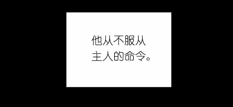 《女神、异世界和变成砖头虫的我》S1-41 第41话 第35页