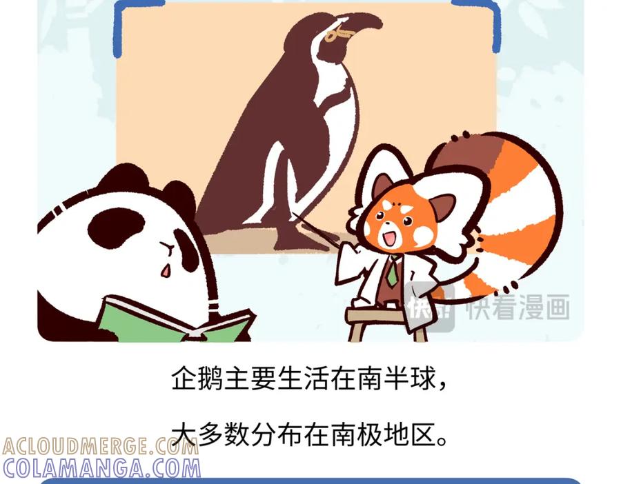 《胖达x胖达》第270话 第25页