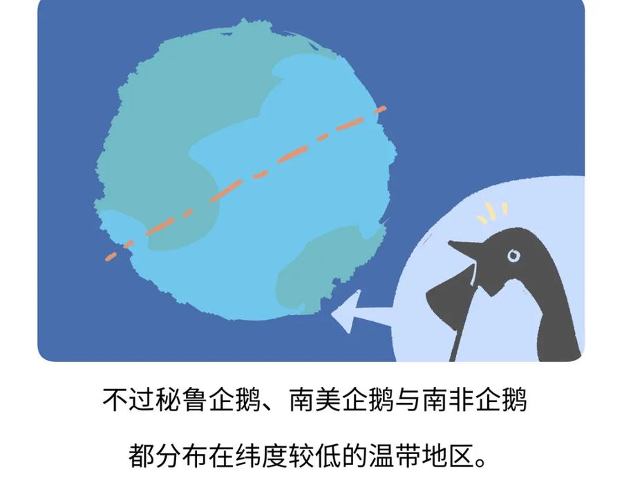 《胖达x胖达》第270话 第26页