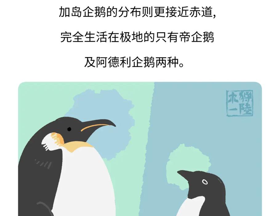 《胖达x胖达》第270话 第28页