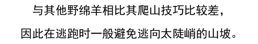 《胖达x胖达》第93话 第23页