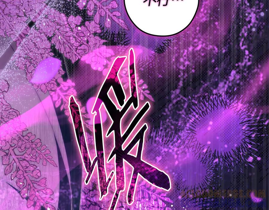 《只想在反派爸爸身边躺平》第39话 专属护卫骑士 第217页