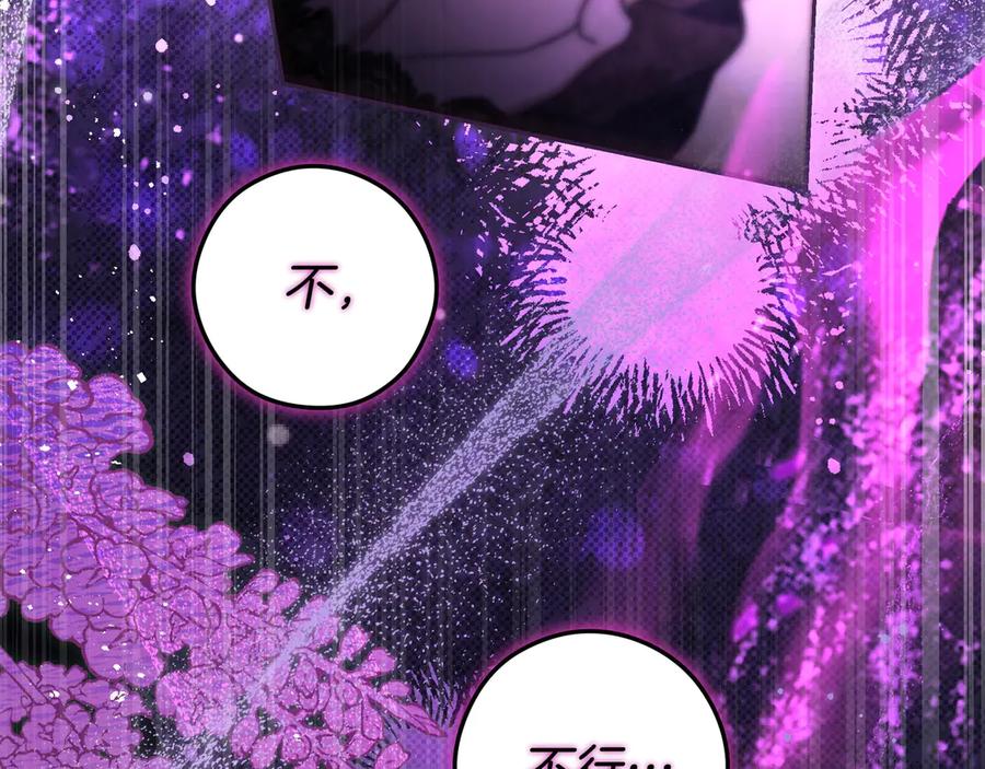 《只想在反派爸爸身边躺平》第39话 专属护卫骑士 第216页
