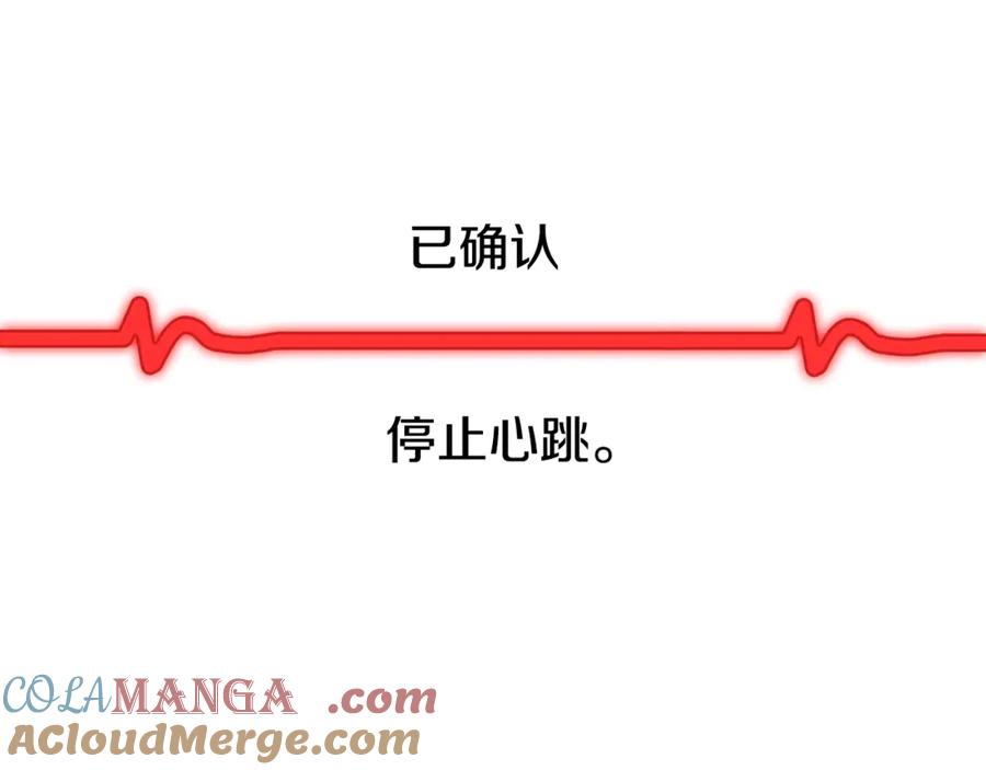 241.jpg