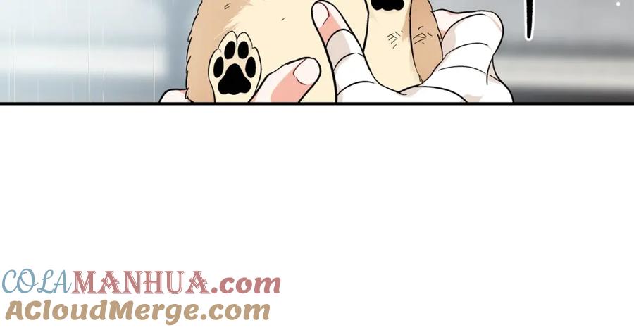 女王的手术刀 第24话 装病 第77页