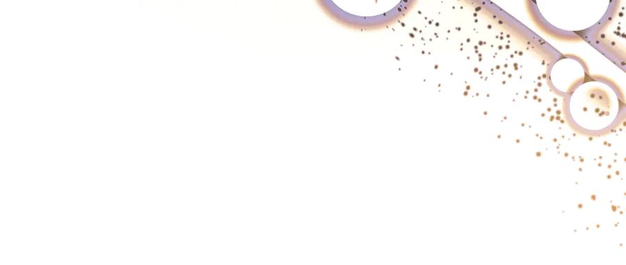女王的手术刀 番外七 一定要幸福 第91页