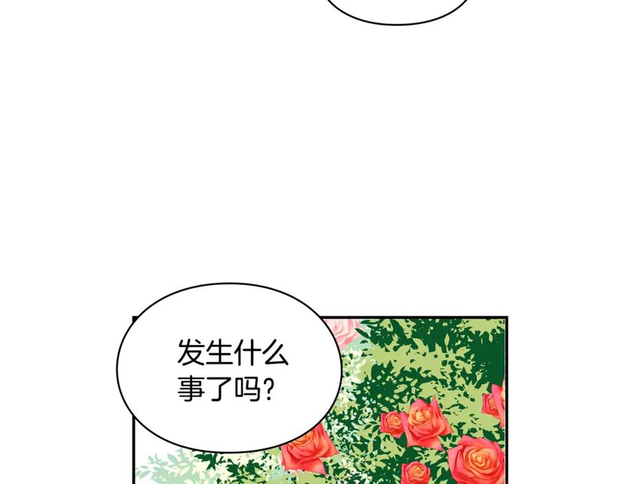 女王的手术刀 第46话 这是命令！ 第19页