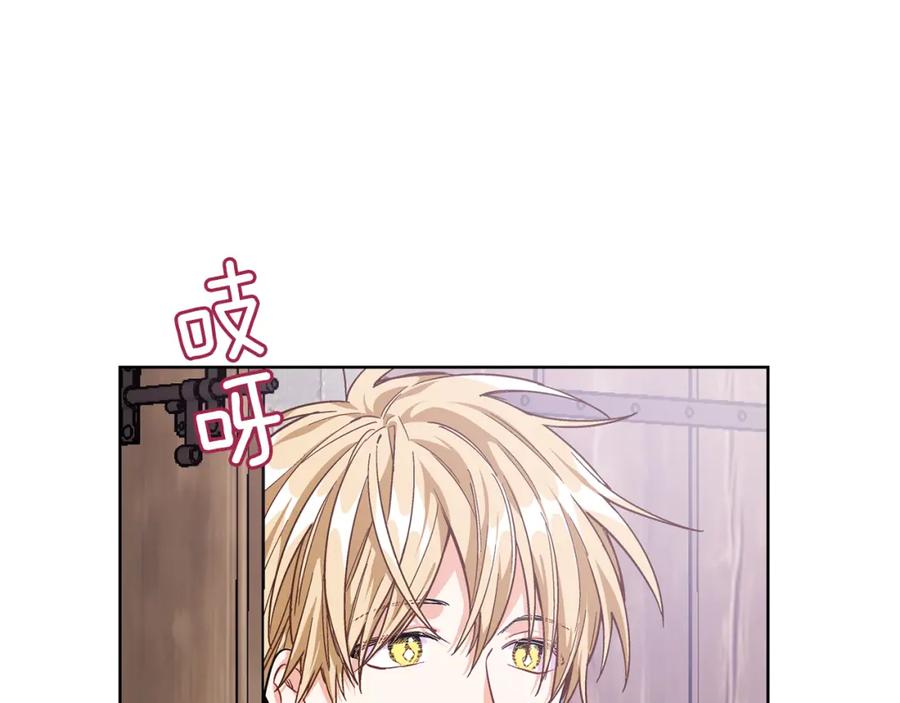 女王的手术刀 第62话 快救救他！ 第34页