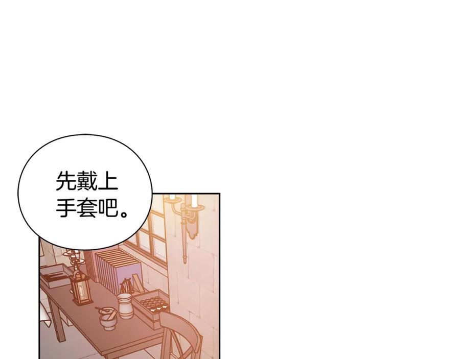 女王的手术刀 第64话 第一次失误 第14页