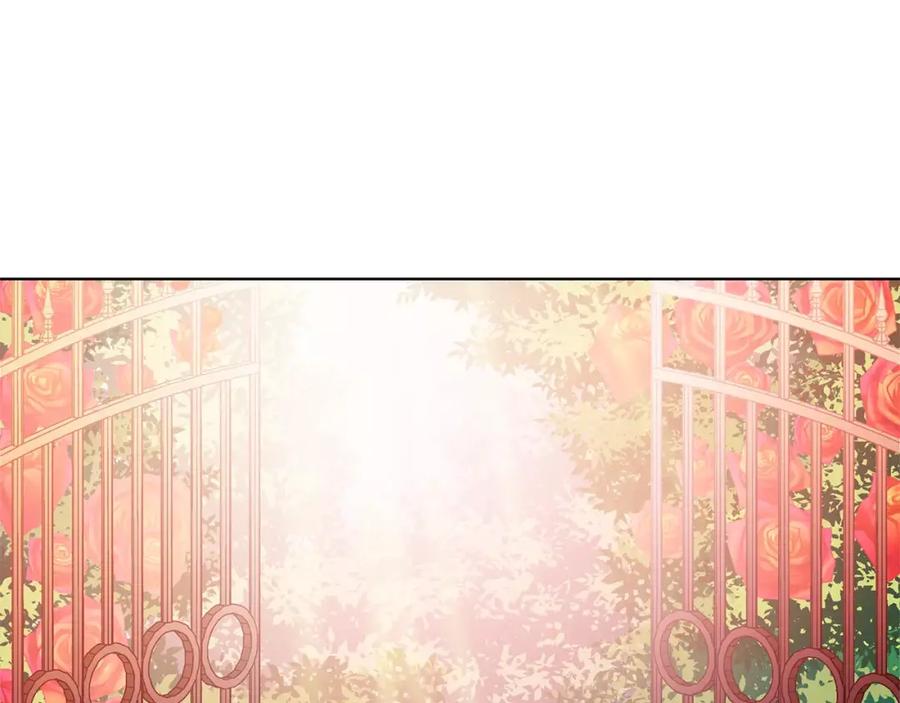女王的手术刀 第6话 林克出现！ 第11页