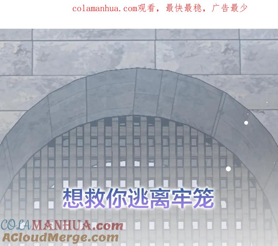 女王的手术刀 第二季序章 唯一的女王 第1页
