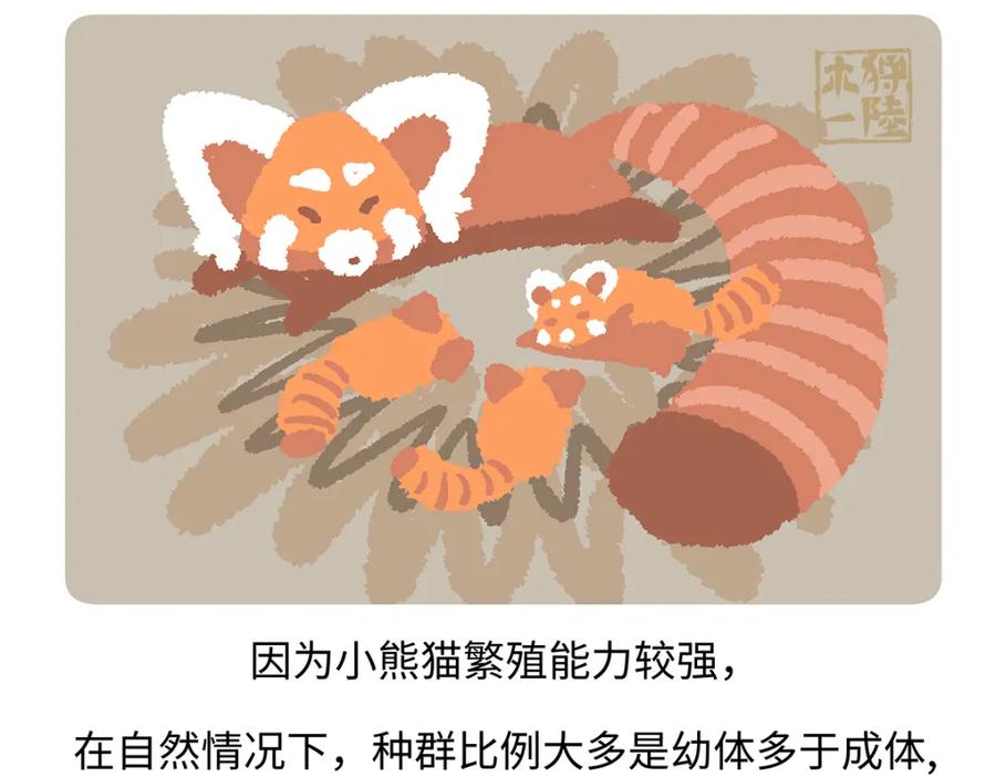 《胖达x胖达》第260话 第30页