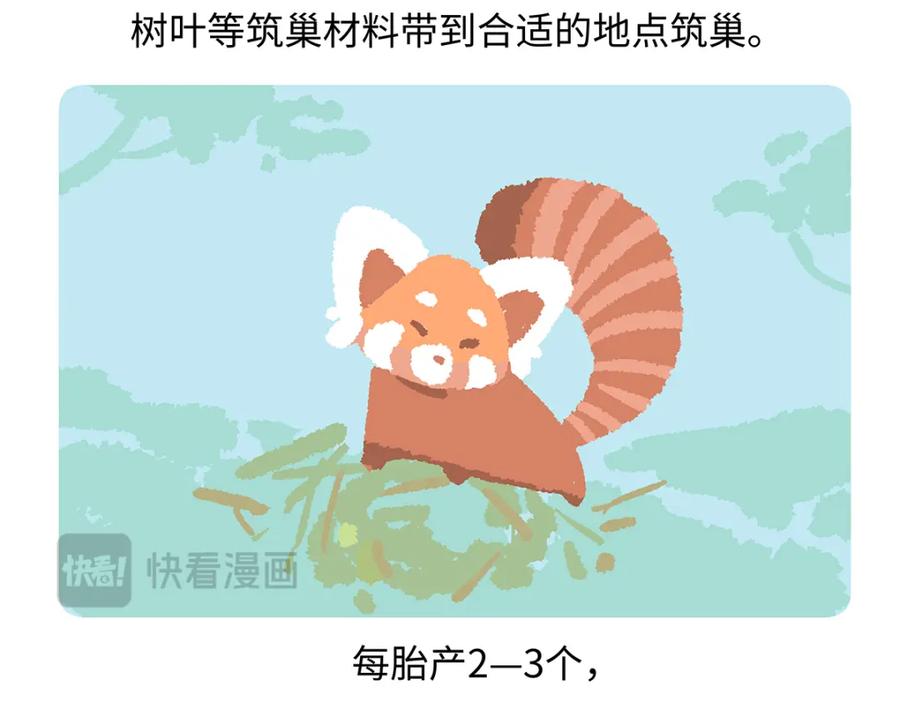 《胖达x胖达》第260话 第28页
