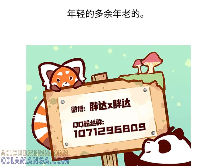 《胖达x胖达》第260话 第31页