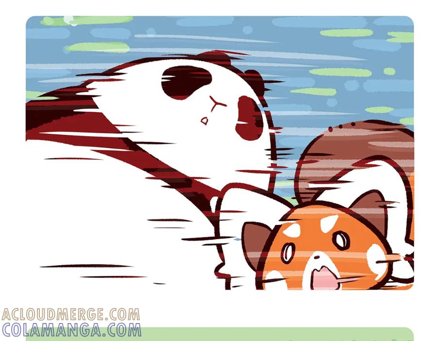 《胖达x胖达》第76话 第5页