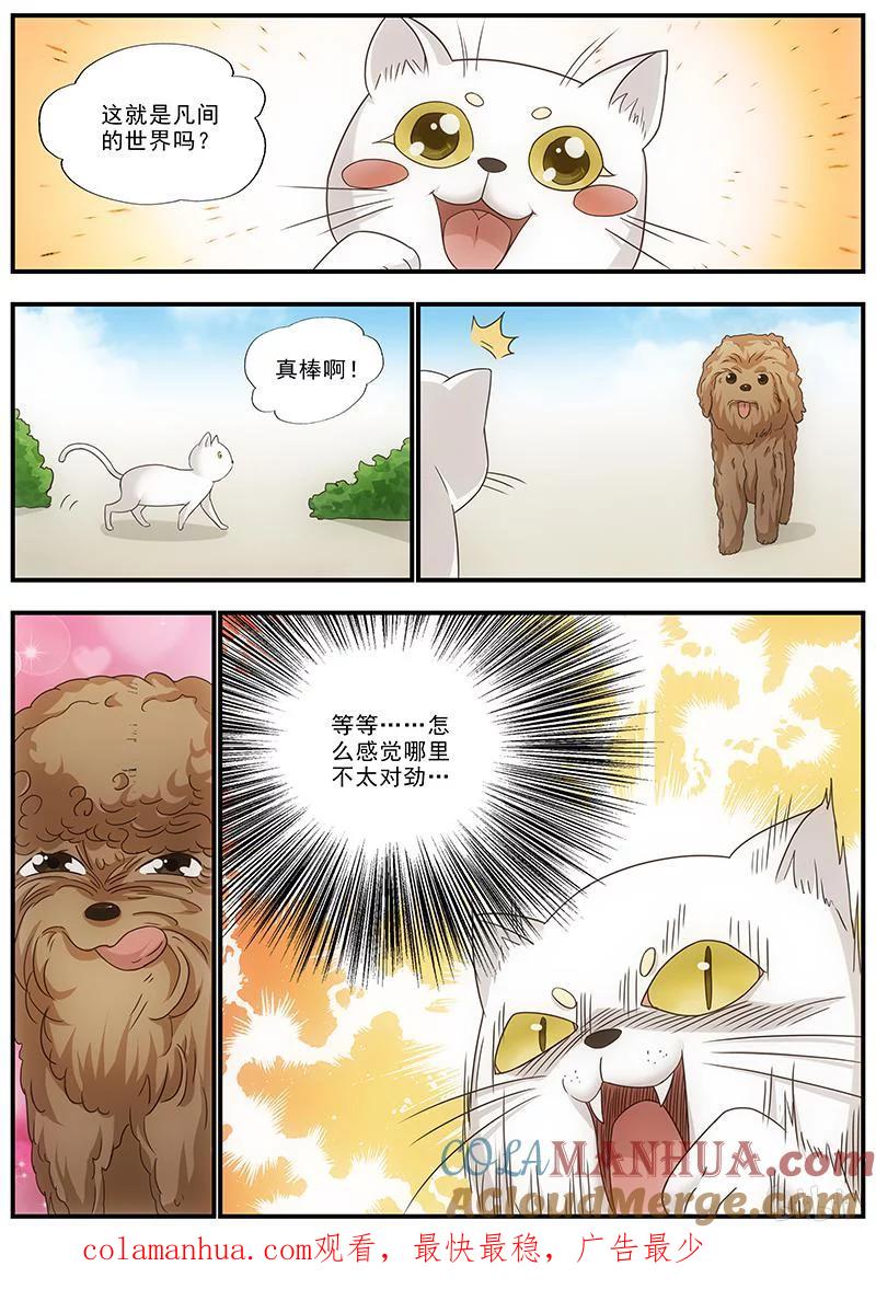 《女友？日后再说！》045 第8页