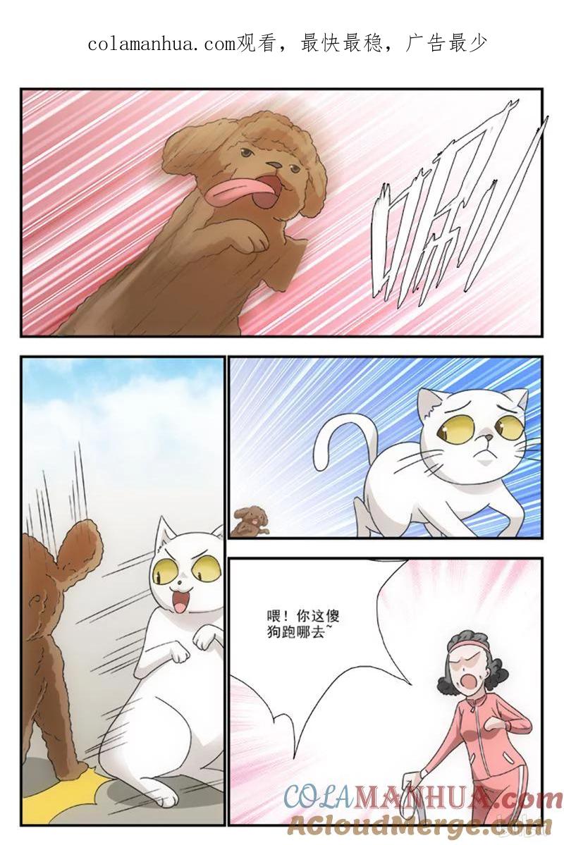 《女友？日后再说！》46 第1页