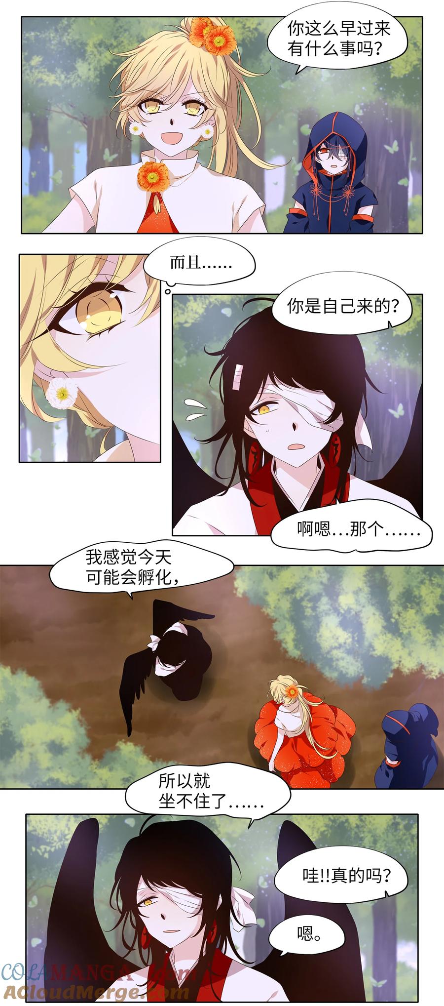 《天地海：我成为了神界的实习生》323 朱雀的摇篮（十五） 第15页