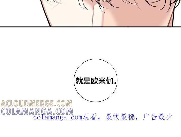 《狩猎之夜》第30章：标记的意义 第21页