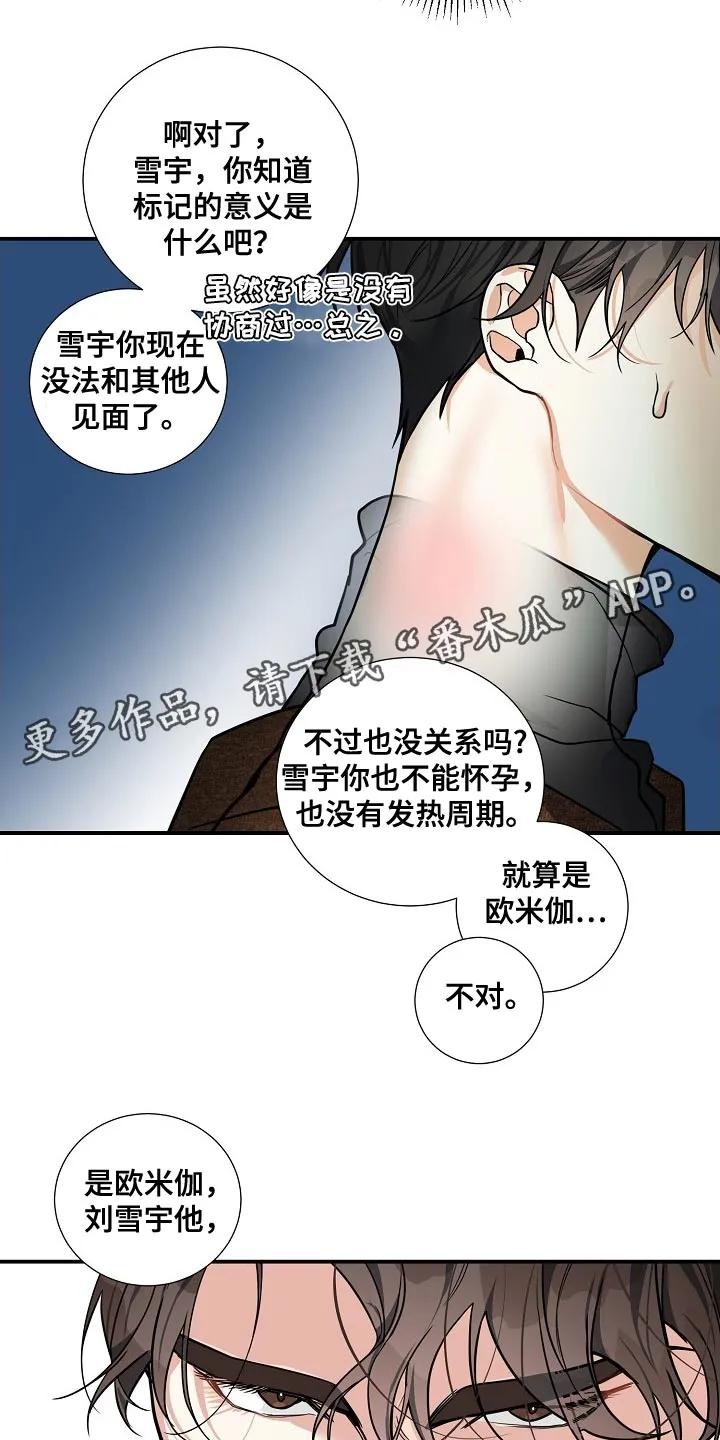 《狩猎之夜》第30章：标记的意义 第20页