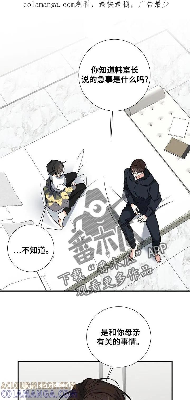 《狩猎之夜》第33章：唯一的家人 第1页