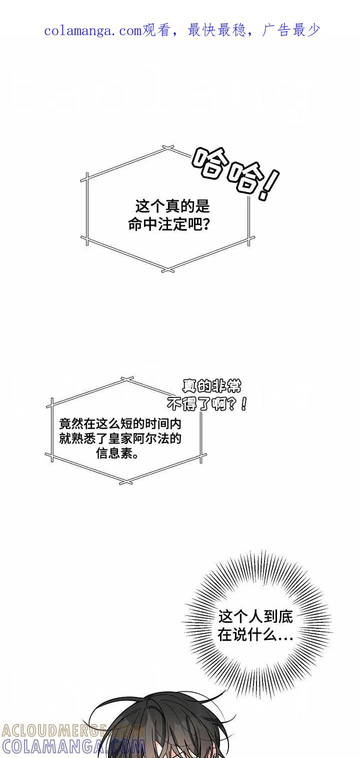 《狩猎之夜》第36章：逃跑的机会 第1页