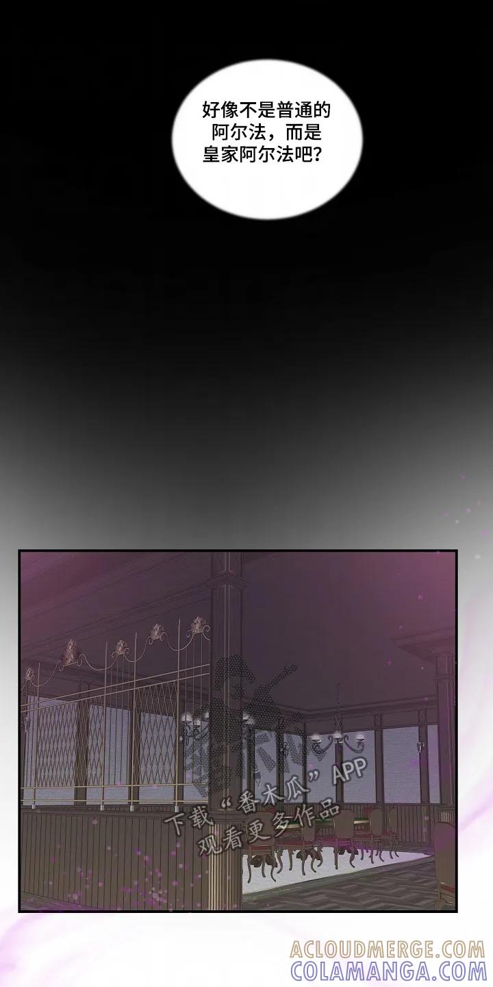 《狩猎之夜》第45章：【第二季】殴打 第15页