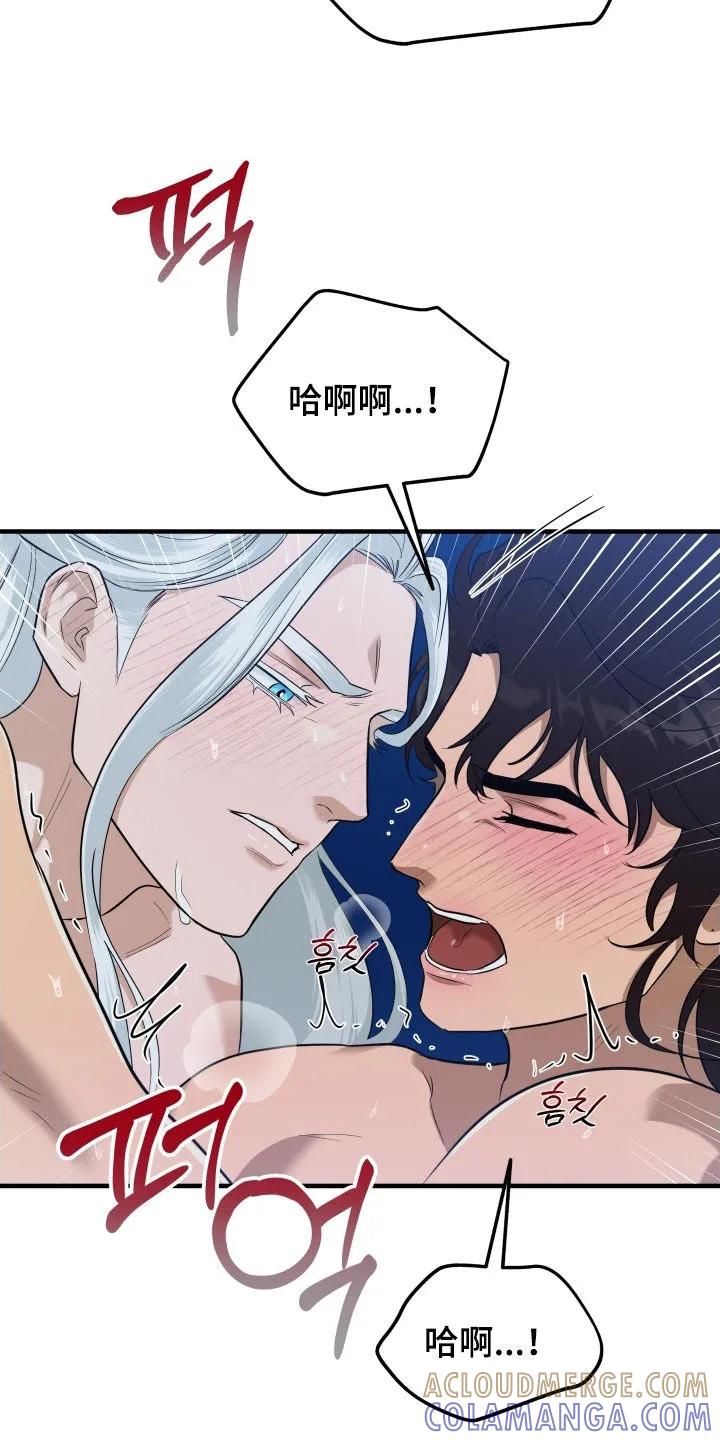 《教主宠妃》第53章：【第二季】我喜欢你 第17页