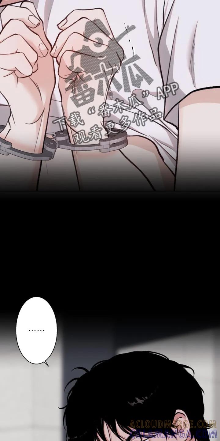 《海岛人生》第99章：【第二季】已经一塌糊涂 第15页
