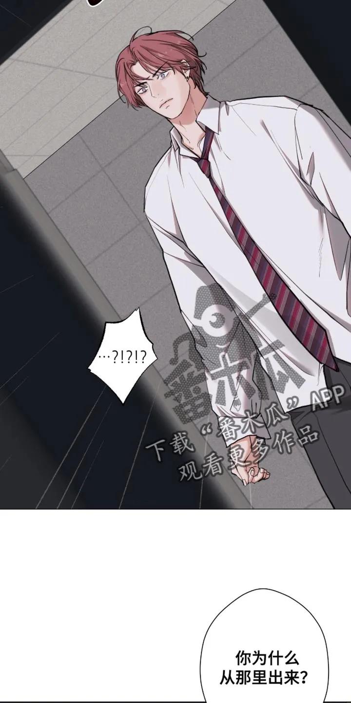 《海岛人生》第99章：【第二季】已经一塌糊涂 第2页
