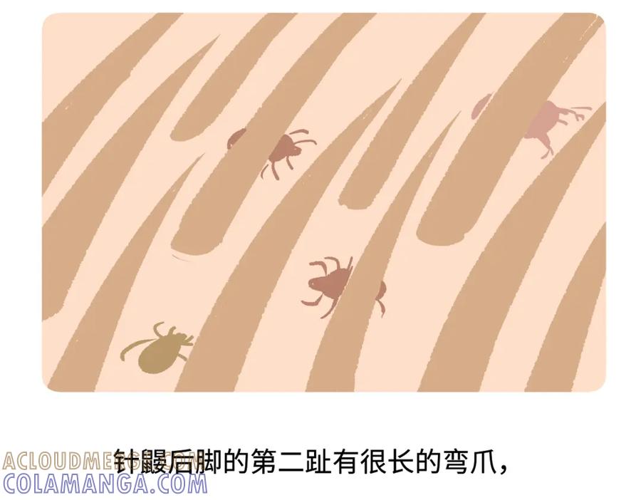 《胖达x胖达》第256话 第23页