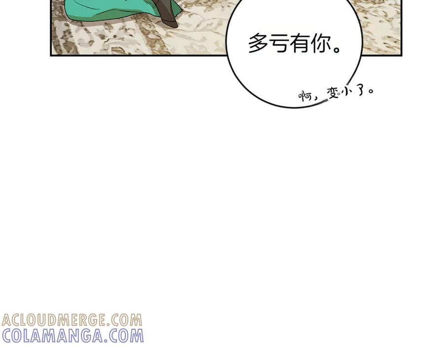 《和猛虎大人的恋爱旅行》第4话 冒昧的问题 第17页