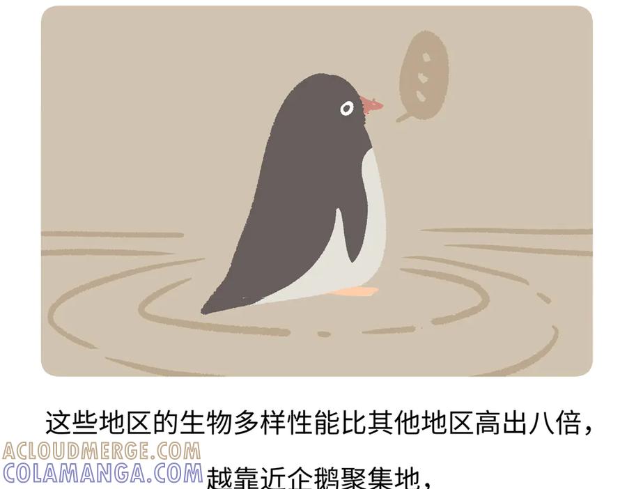 《胖达x胖达》第274话 第29页