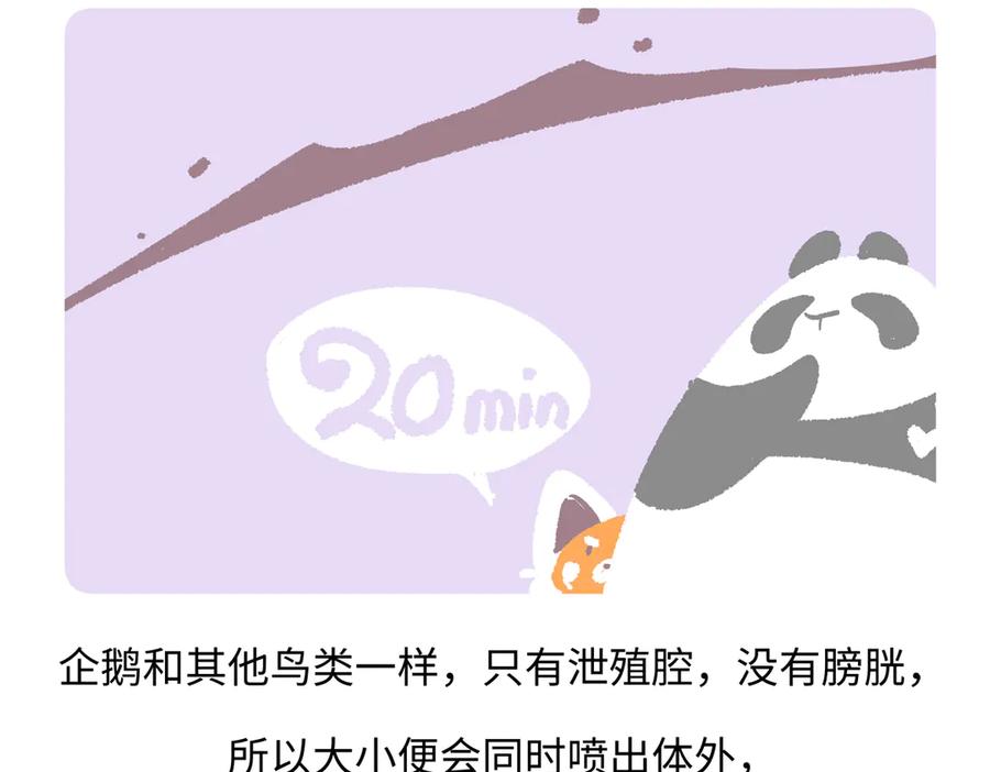 《胖达x胖达》第274话 第22页